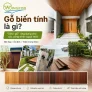 Gỗ biến tính là gì? Siêu gỗ cho công trình ngoại thất | Wingfor