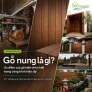 Gỗ nung là gì? Ưu điểm của gỗ nung trong công trình hiện đại