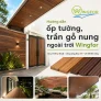 Hướng dẫn ốp tường, trần gỗ nung ngoài trời Wingfor