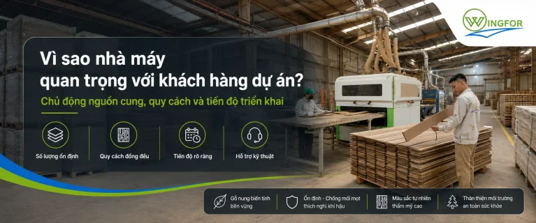Lợi thế từ nhà máy gỗ nung đối với các dự án lớn