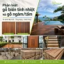 Phân biệt gỗ biến tính nhiệt và gỗ biến tính ngâm/tẩm: nên chọn loại nào?