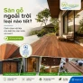 Sàn gỗ ngoài trời loại nào tốt? Cách chọn vật liệu cho biệt thự, sân vườn và resort