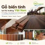 Gỗ biến tính tại thị trường Việt Nam: Xu hướng, ứng dụng và cơ hội phát triển