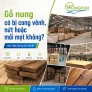 Gỗ nung có bị cong vênh, nứt hoặc mối mọt không?