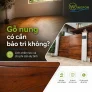 Gỗ nung có cần bảo trì không? Chi phí bảo trì định kỳ