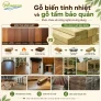 Gỗ biến tính và gỗ tẩm hóa chất khác nhau thế nào?