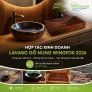 Chương trình Đối tác kinh doanh, trưng bày sản phẩm Lavabo Gỗ Nung Wingfor 2026