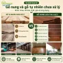 Gỗ nung và gỗ tự nhiên chưa xử lý khác nhau thế nào?