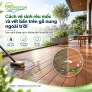 Cách vệ sinh rêu mốc và vết bẩn trên gỗ nung ngoài trời mà không làm hỏng bề mặt