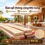 Sàn gỗ thông vàng Mỹ nung và hệ ốp tường – trần: một vật liệu, nhiều lớp không gian