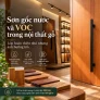 Sơn gốc nước và VOC trong nội thất gỗ: Hiểu đúng để lựa chọn